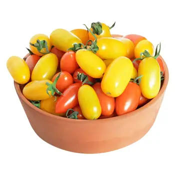 Cherry Tomato Orange Saudi 1Packet