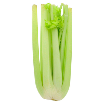 Celery Spain