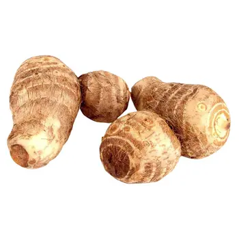 Colocasia, Small 1kg