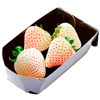 فراولة بيضاء 100جرام