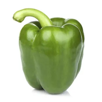 Green Bell Pepper 1kg