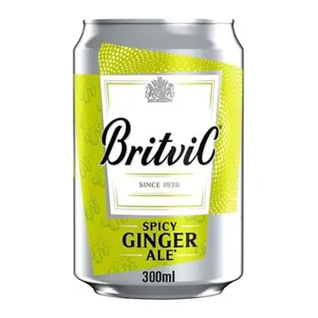 Britvic Spicy Ginger Ale 300ml
