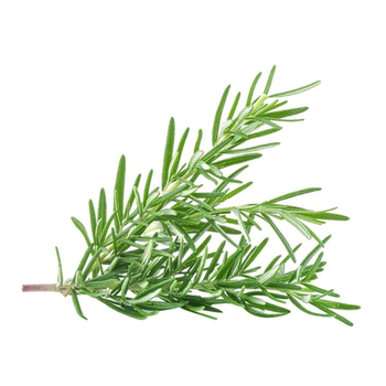 Fresh Rosemary 100g