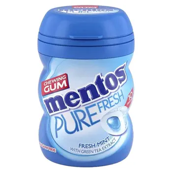 Mentos Pure Fresh Mint Chewing Gum 17.5g
