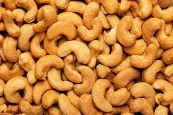 Salted Cashews 250g
