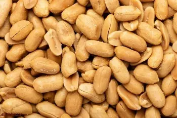 Peanut Packaged Food 250g