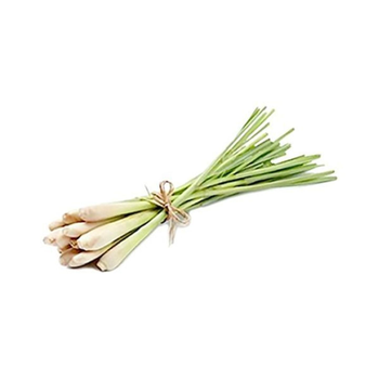 Lemon Grass Fresh 500g
