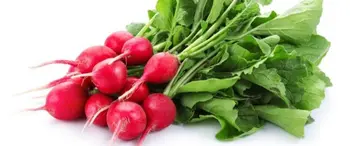 فجل أحمر 1حزمة