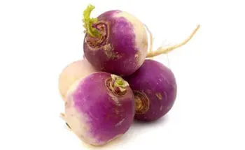 لفت مصري 1كيلو