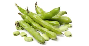 فول اخضر طازج 500جرام