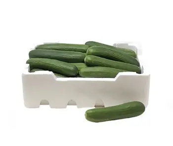 خيار طرشي 1صندوق