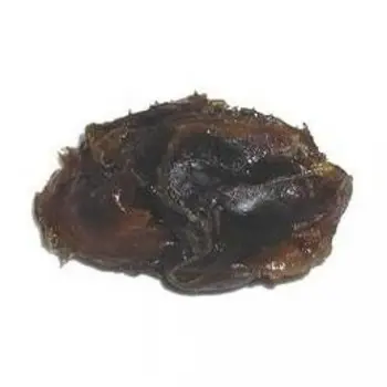 فاسوخ مغربي 50جرام