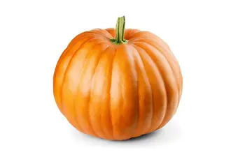 Orange Pumpkin 1kg