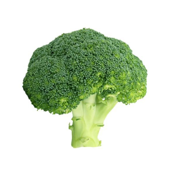 Fresh Broccoli 500g