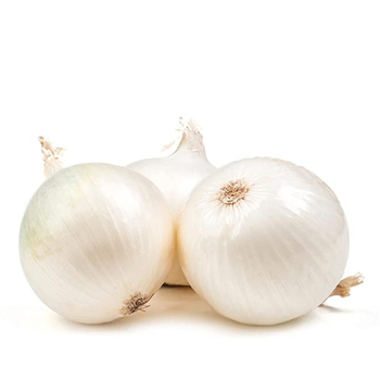 White Onion Al Qassim 500g