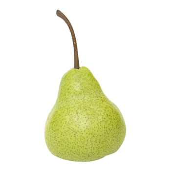Pear Chili Cochia Single Piece