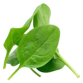 خس صغير اسباني 125جرام