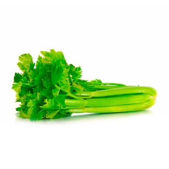 Fresh Celery Stalks 1kg