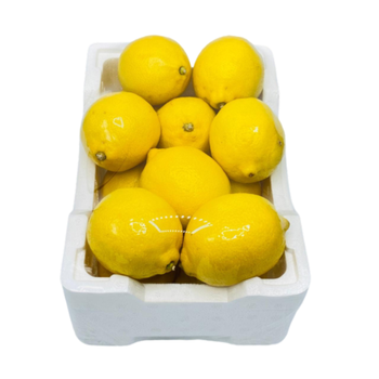 Yellow Lemon Large Loose