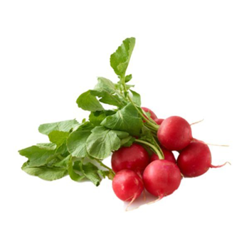 Red Radish Bunch 1 Count