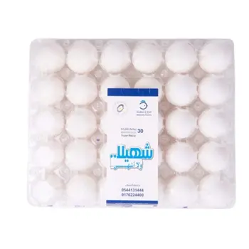 شهيلا بيض كبير بلاستك 30قطعة