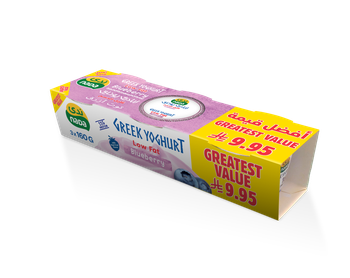 Nada Blueberry Low-Fat Greek Yogurt 3x160g
