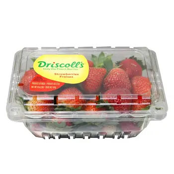 Driscoll's USA Strawberries 454g
