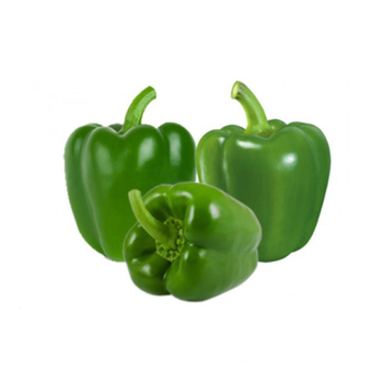 Organic Green Capsicum 500g
