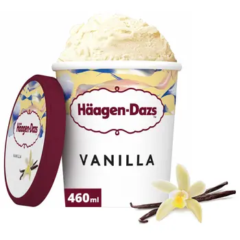 Haagen-Dazs Vanilla Ice Cream 460ml