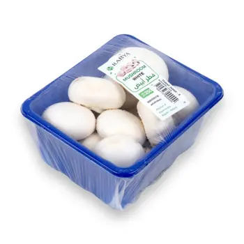 الدانوب فطر 250جرام