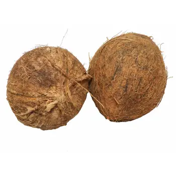 Fresh Coconut Loose Piece