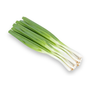 الدانوب بصل أخضر 1قطعة