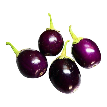 باذنجان محشي ميني