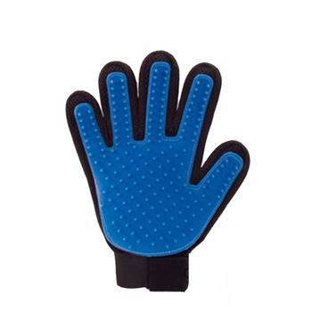 Blue Palm Brush Single Piece