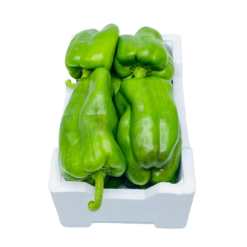 Green Bell Pepper Small