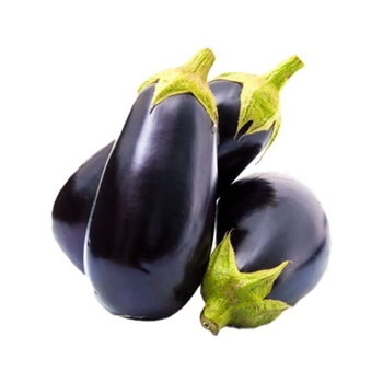 Fresh Eggplant 1kg