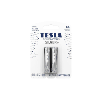 Tesla Alkaline AA Batteries 1.5V LR6 2-Pack