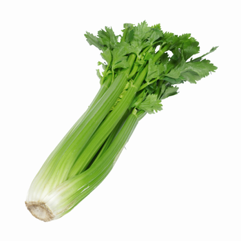 Organic Celery Loose