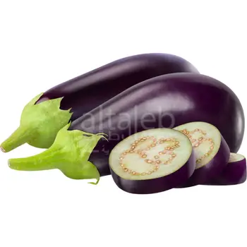 باذنجان اسود عضوي