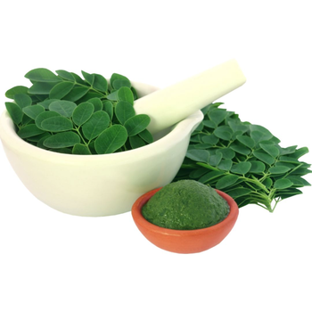 مورينجا عضوي