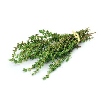 Organic Thyme Loose