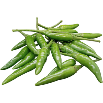 فلفل حار اخضر عضوي