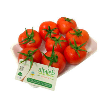 طماطم عضوية