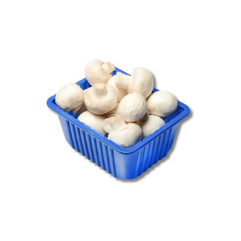 فطر ابيض 1حزمة