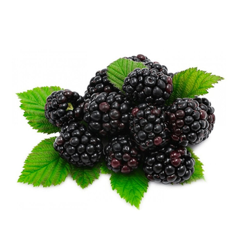 توت أسود 500جرام