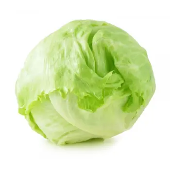 Iceberg Lettuce 1kg