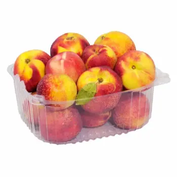 Nectarine Loose Single Piece