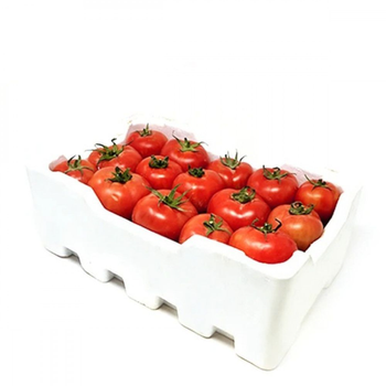 طماطم محمي 1صندوق