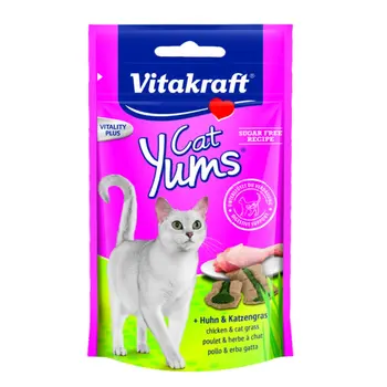 Vitakraft Chicken & Catnip Cat Yums 40g