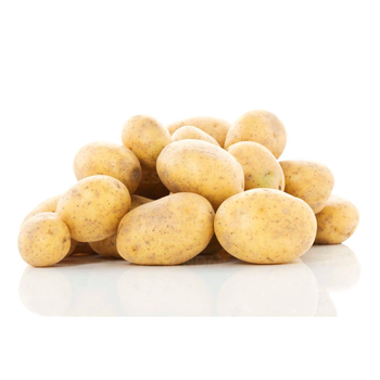 بطاطس